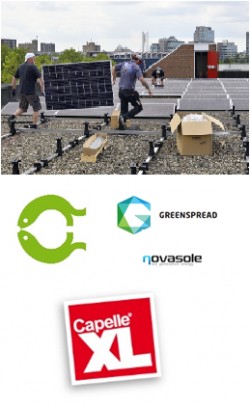 ZONNEPANELEN OP CAPELLEXL – SUBSIDIE 2019 BENUTTEN