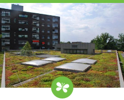 Uitbreiding subsidie voor groene daken en groene gevels